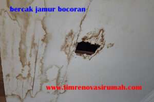 cat bercak jamur pada plafon dan dinding